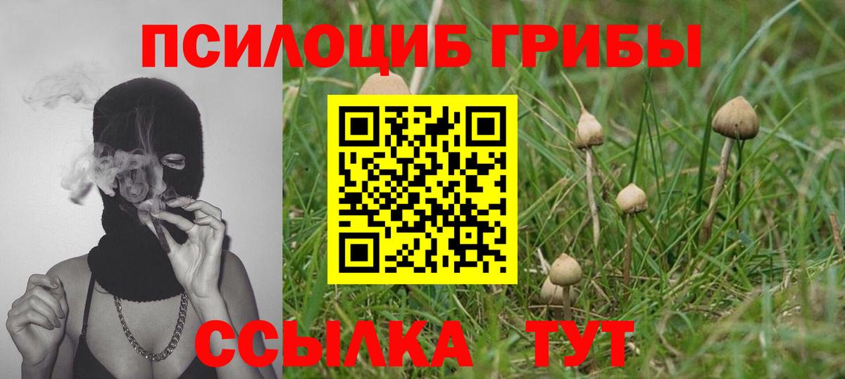 Псилоцибиновые грибы GOLDEN TEACHER  Вход с VPN  Галлюциногенные грибы ЛСД  Югорск 