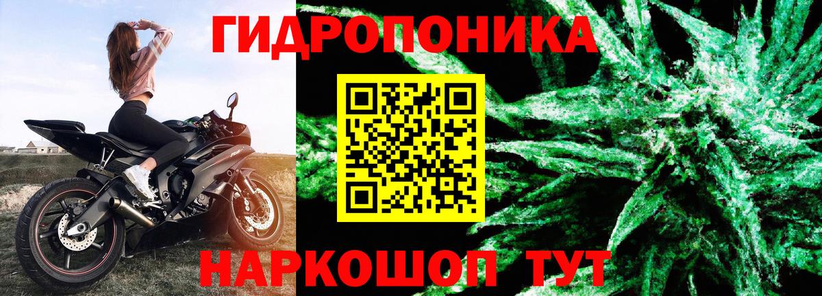 МАРИХУАНА White Widow  Каннабис семена  Югорск  Вход с VPN  Бошки марихуана SATIVA & INDICA 